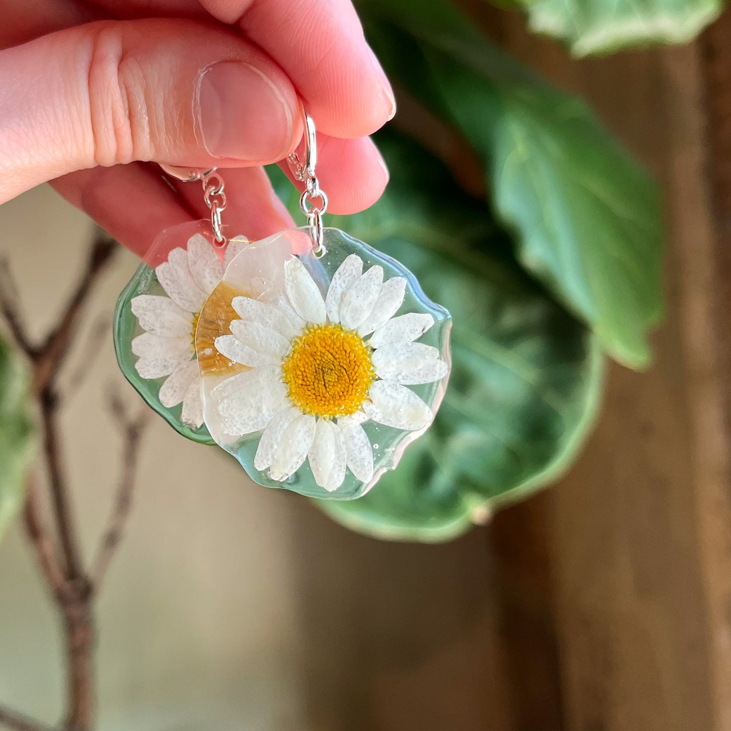 Forever Daisy