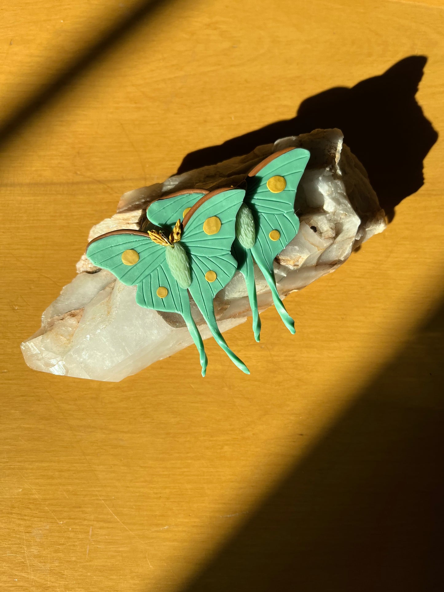 Large Luna Moths