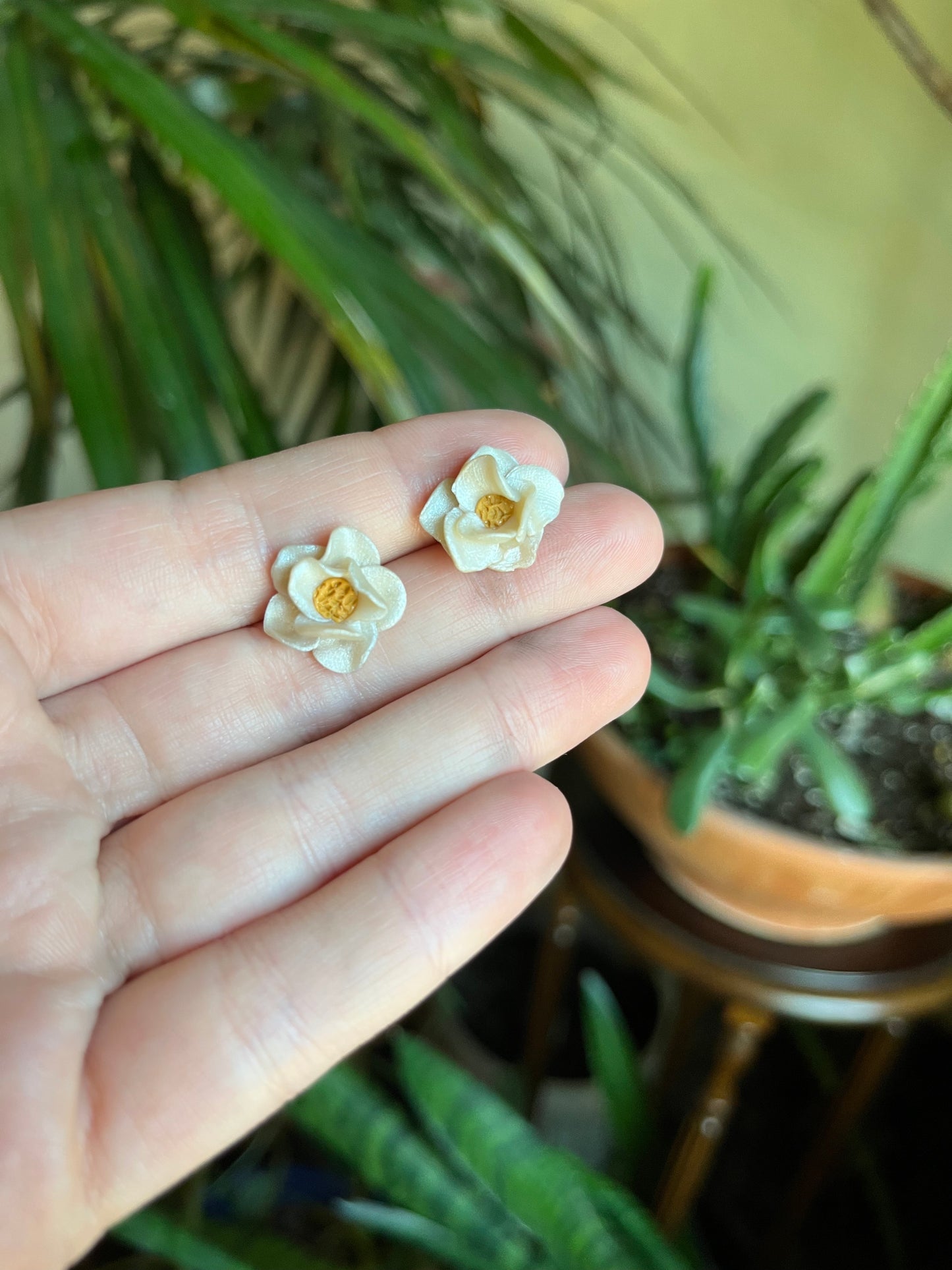 Magnolia Studs
