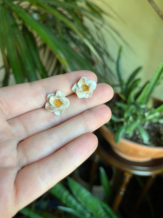 Magnolia Studs